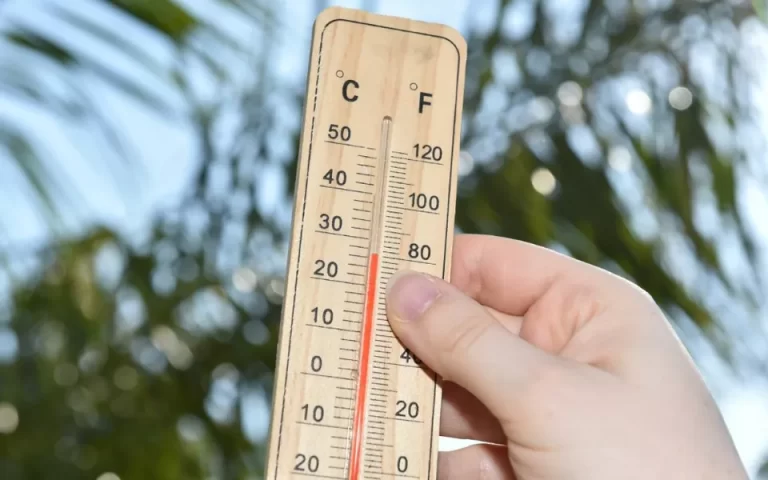 Des températures mondiales record en janvier 2025
