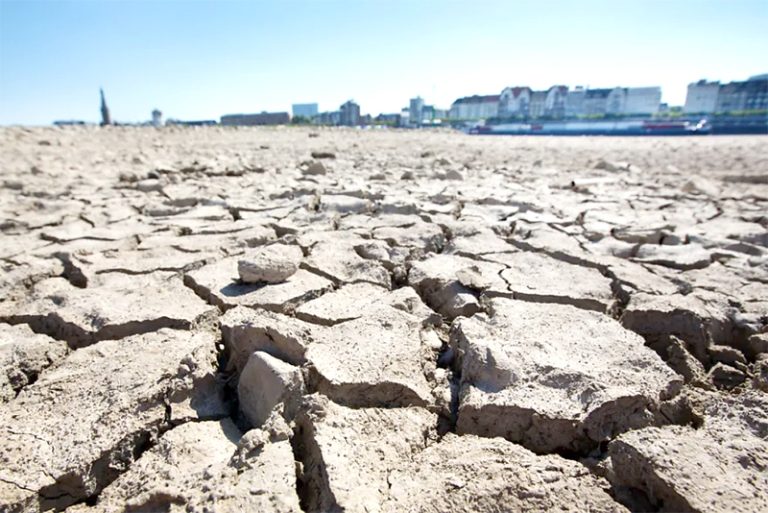 Le mois de janvier 2025 le plus chaud jamais mesuré dans le monde