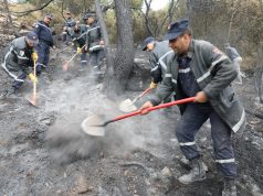 ALORS QUE LE FEU DE CHRÉA A ÉTÉ ÉTEINT : 13 incendies dans une dizaine de wilayas enregistrés