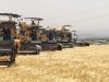 LANCEMENT DE LA CAMPAGNE MOISSON-BATTAGE 2025-2026 À OUARGLA : Une récolte céréalière de 475 645 quintaux