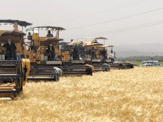 Oran : Opération de validation des compétences des conducteurs d’engins de moisson-battage