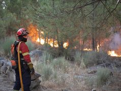 Portugal : Des centaines de pompiers mobilisés contre les feux de forêt