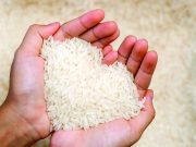 PRODUITS ALIMENTAIRES : Baisse quasi-générale des prix mondiaux