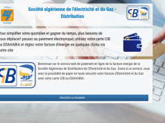 Factures d’électricité et de gaz : Plus de 27 millions DA réglés en ligne en trois mois à Constantine