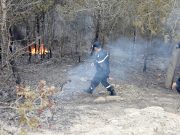 LES AUTORITÉS DÉCLENCHENT DES ENQUÊTES / Feux de forêt : cause naturelle ou acte prémédité ?