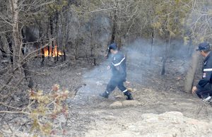 LES AUTORITÉS DÉCLENCHENT DES ENQUÊTES / Feux de forêt : cause naturelle ou acte prémédité ?