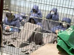 UN RAPPORT ACCABLE L’ENTITÉ SIONISTE : Des centaines de détenus ghazaouis portés disparus