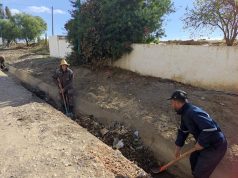 Tipasa : Lancement d’une vaste campagne de nettoyage