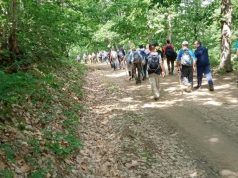 Béjaïa : Vers le classement du massif forestier d’Akfadou en aire protégée