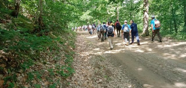 massif forestier d'Akfadou
