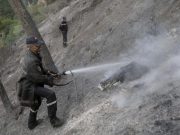 INCENDIES DE FORÊTS À TIPASA : 190 hectares de forêts et d’arbres fruitiers ravagés