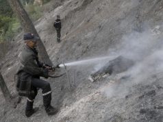 INCENDIES DE FORÊTS À TIPASA : 190 hectares de forêts et d’arbres fruitiers ravagés