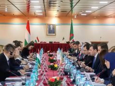 ÉLARGISSEMENT DE LA COOPÉRATION ET CONSOLIDATION DES LIENS ÉCONOMIQUES : L’Algérie et la Hongrie sur un nouvel élan