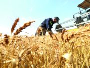 INVESTISSEMENT AGRICOLE : L’Algérie, destination attractive en Méditerranée