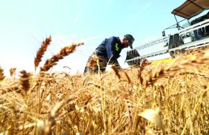 INVESTISSEMENT AGRICOLE : L’Algérie, destination attractive en Méditerranée