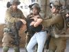 CISJORDANIE OCCUPÉE : Plus de 40 Palestiniens arrêtés