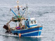 UNION EUROPEENNE : Un accord dans la douleur sur les quotas de pêche pour 2026