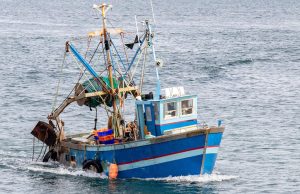 UNION EUROPEENNE : Un accord dans la douleur sur les quotas de pêche pour 2026