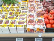 SAHARA OCCIDENTAL : Des organisations espagnoles dénoncent l’étiquetage frauduleux des produits agricoles