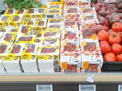 SAHARA OCCIDENTAL : Des organisations espagnoles dénoncent l’étiquetage frauduleux des produits agricoles