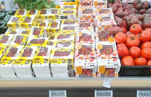 SAHARA OCCIDENTAL : Des organisations espagnoles dénoncent l’étiquetage frauduleux des produits agricoles