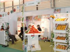 9e salon de l’agriculture saharienne : Une centaine d’exposants attendus à El Oued