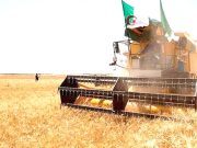 CONSEIL DES MINISTRES : 2026, une année pour l’agriculture