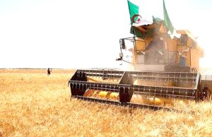 CONSEIL DES MINISTRES : 2026, une année pour l’agriculture