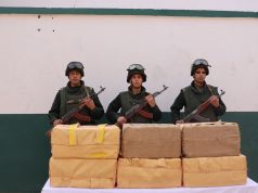 FRONTIÈRES AVEC LE MAROC : L’ANP saisit 3 quintaux de kif traité