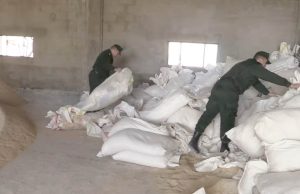Arrestation à Sétif d’un individu et saisie de 400 tonnes de produits subventionnés destinés à l’alimentation animale