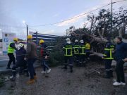 INTEMPÉRIES DANS 34 WILAYAS DU PAYS : 530 interventions de la Protection civile