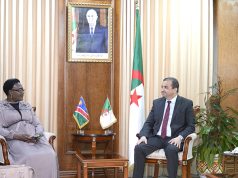 INDUSTRIE PÉTROLIÈRE ET GAZIÈRE : La Namibie sollicite l’expertise algérienne