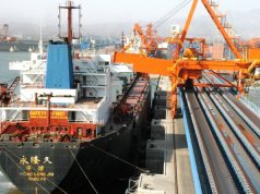 Accès en franchise de droits à 100% accordé par la Chine : Des experts sud-africains saluent la mesure