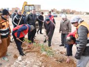 Nâama : Lancement d’une vaste campagne de nettoyage de la ville de Mecheria