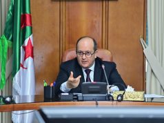 COOPÉRATION ALGÉRO-NIGÉRIENNE : Aller vers le concret