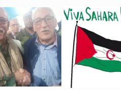 CONTRIBUTION/AUCUNE COLONISATION N’EST ÉTERNELLE : Le Polisario triomphera