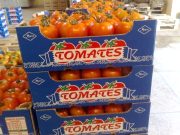 LES PRODUCTEURS EUROPEENS DE TOMATE DENONCENT : « Une concurrence déloyale et un accord Maroc – UE hors la loi »