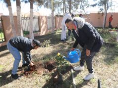 POUR UNE ALGÉRIE PLUS VERTE ET PLUS DURABLE : 5 millions d’arbres à planter samedi prochain