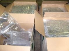 Plus de 20 quintaux de tabac à chiquer contrefait saisis à Bejaïa