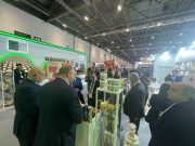 IFE 2026 À LONDRES : Les entreprises algériennes en force