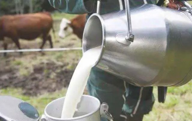 Lait frait