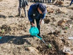 Blida : Mise en terre de plus de 305.000 plants, objectifs » largement dépassés «