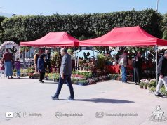 Les floralies de Blida, une opportunité pour les visiteurs d’acquérir des notions en jardinage