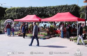 Les floralies de Blida, une opportunité pour les visiteurs d’acquérir des notions en jardinage