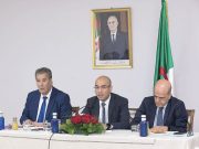 AMÉLIORATION DES SERVICES CONSULAIRES ET PRÉPARATION DES LÉGISLATIVES : Chaïb à l’écoute de notre diaspora à Madrid