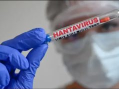 HANTAVIRUS : Mesures de prévention aux frontières et dans les hôpitaux
