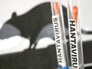 Hantavirus : Un hôpital néerlandais place 12 membres de son personnel en quarantaine