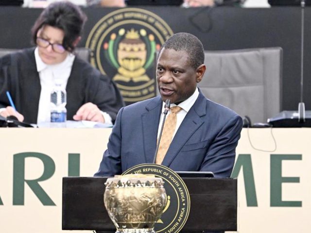 Le vice-président sud-africain Paul Mashatile