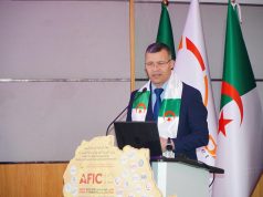 COOPÉRATION ÉCONOMIQUE EN AFRIQUE : Le sens d’une ouverture sur le continent