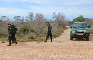 Lutte contre les feux de forêts : Mobilisation de 6 équipes mobiles et 13 tours de surveillance à Oran
